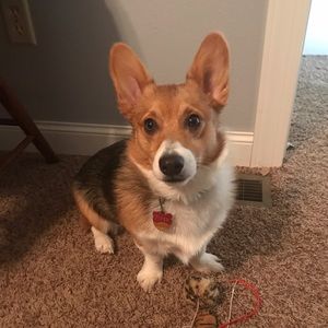 Meet your Posher, Mary